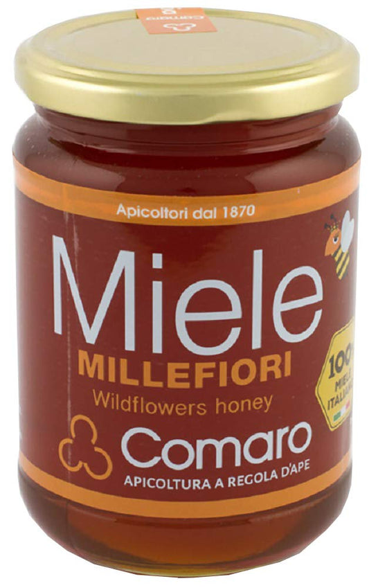 Pure Raw Honey - Wildflower (500 g)